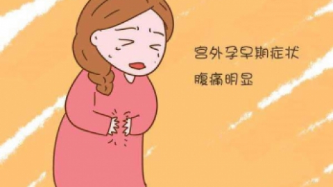 胎停后需要多长时间长能备孕？