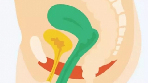 生完孩子一年了盆底肌还能恢复吗？