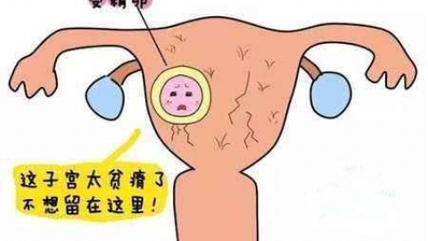 子宫内膜薄有什么症状体现