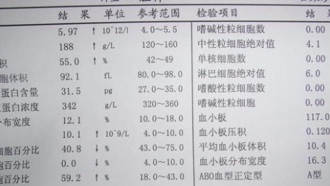解读血常规（白细胞）