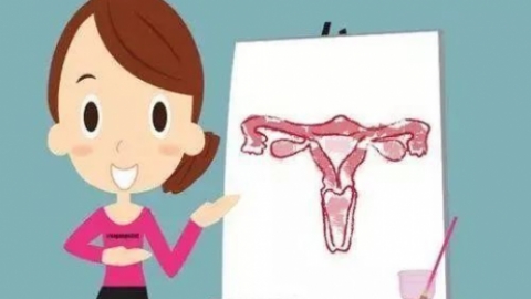 女性雌激素偏低怎么调理？