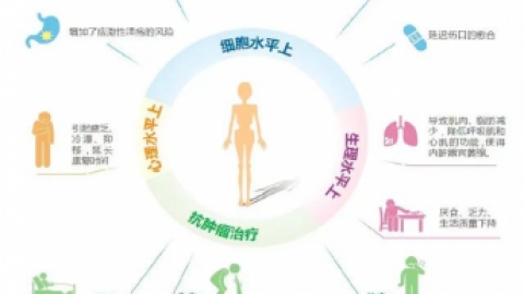 JAMA子刊：辅助生殖与后代肿瘤