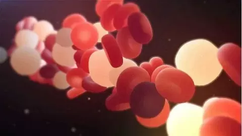 红细胞压积偏低是什么意思