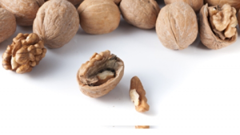 异卵双胞胎和同卵双胞胎的区别