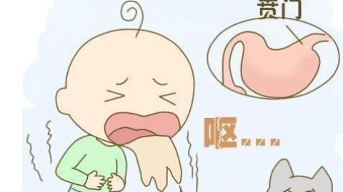 吐奶,婴儿,喂养,母乳,胃,生理原因,贲门,拍嗝
