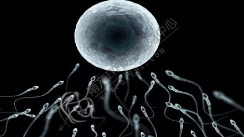 弱精症:弱精症的3大典型症状，能否自然怀孕得看这些