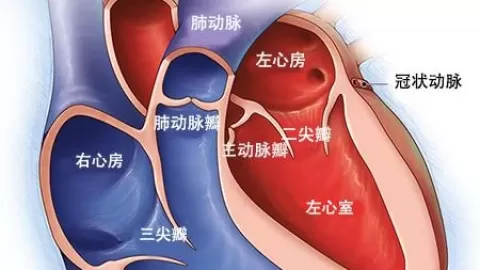 关于QT间期延长综合征的常见问答