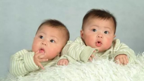 如何生双胞胎，5种生双胞胎的备孕方法分享