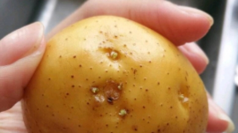 孕妇吃土豆对胎儿好吗