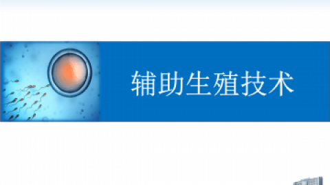 辅助生殖 如虎添翼168