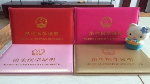 出生证明在哪里办理