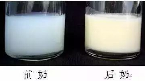 奶水稀怎么办？宝宝营养跟的上吗？