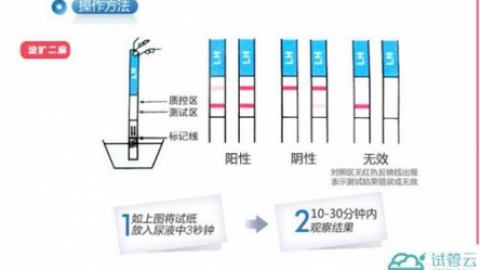 促黄体生成素(LH)