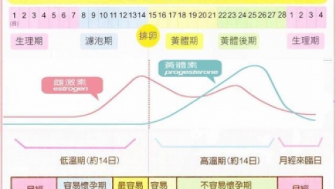 全面了解胚胎着床的守护神-黄体素