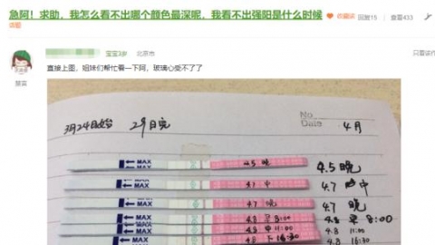 大卫排卵试纸强阳，该怎样安排同房？