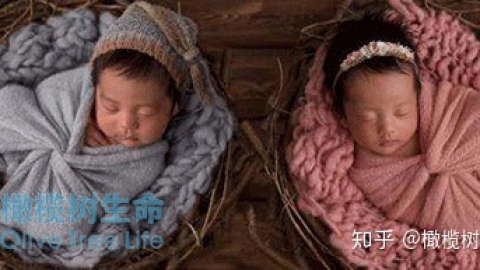 双胞胎，生双胞胎的方法和诀窍双胞胎，你知道吗