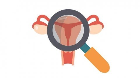 女性宫腔镜检查，你想知道的都在这里