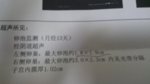 试管婴儿窦卵泡检查，你知道多少？㈠