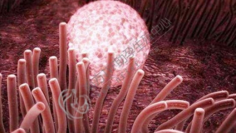 着床降温是开始着床还是已经成功？为你解读其前后关系