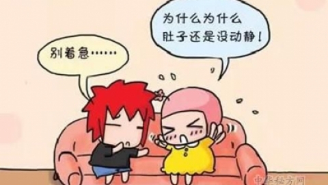 每年不孕不育发生率越来越高，生育问题已成世界难题！