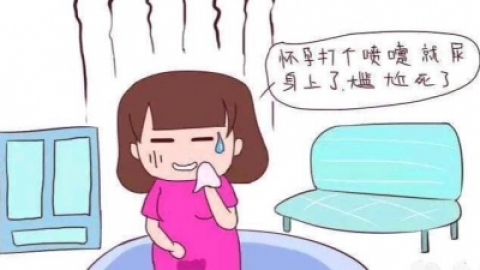 女性如何锻炼修复盆底肌?
