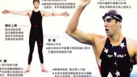 马凡氏综合症-讲课演示文稿_动物植物_PPT模板_实用文档