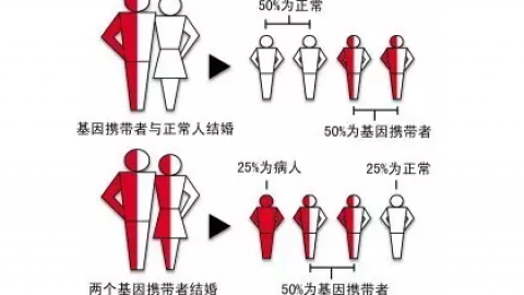 > 什么是地中海贫血？