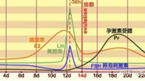黄体生成素偏低会导致不孕，怎样做才能恢复正常？