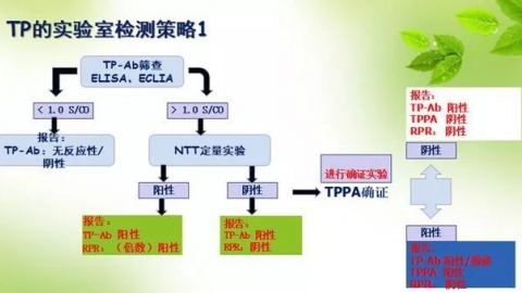 梅毒特异性抗体发光法