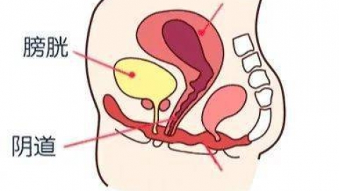 产后恶露是怎么回事？