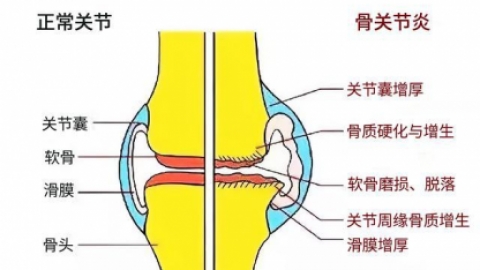 正常人梅毒螺旋体抗体为什么有数值？