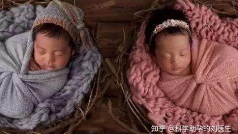 试管婴儿对女性的伤害：多胎妊娠为什么一定要减胎？