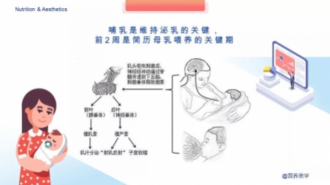 催乳素偏高可以吃什么药?？