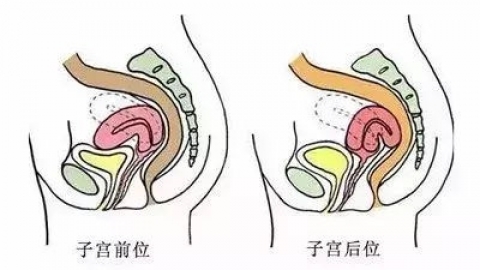 坐小月子注意事项