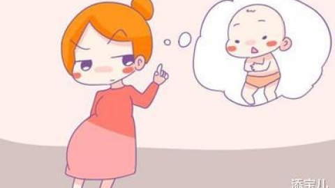 黄体