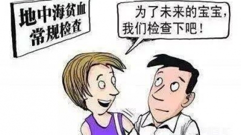 关于“地中海贫血”不得不说的那些事