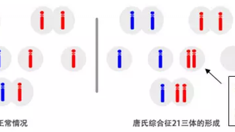 什么是