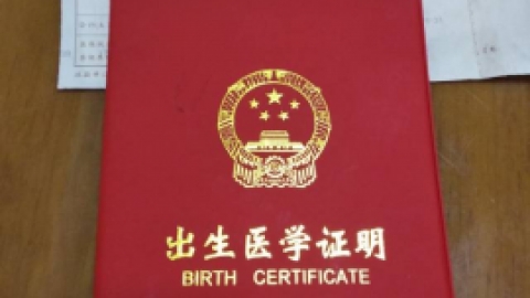 办理出生证明