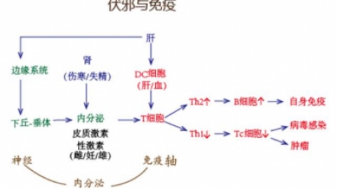 nk细胞输液基本技巧方法