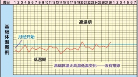 排卵后着床降温有什么感觉