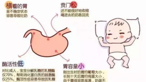 为什么新生儿总是吐奶？