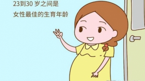 窦卵泡计数 网易新闻