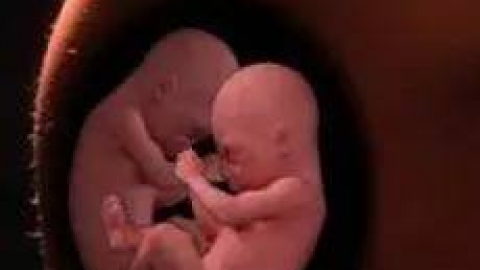 如何生双胞胎？备孕时不妨抓住这三大秘诀，怀上几率更大！