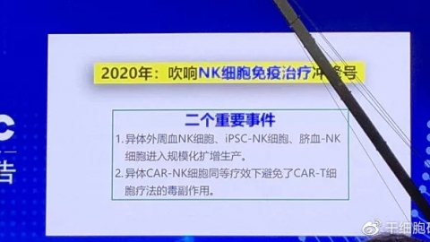 NK细胞：肿瘤的“天生杀手”