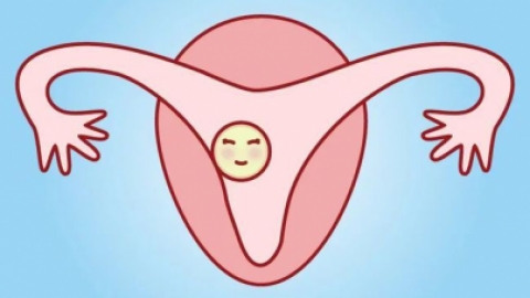 子宫内膜薄怎么治疗？如何食物调理？
