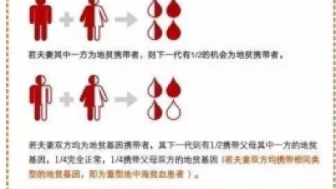 地中海贫血 什么是地贫？
