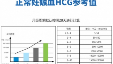 孕早期HCG正常值是多少？