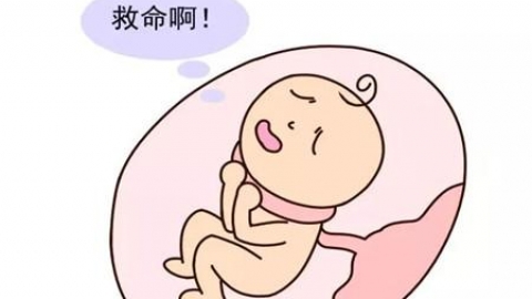 为什么有人能怀上双胞胎？什么情况容易生双胞胎？准确答案在这里