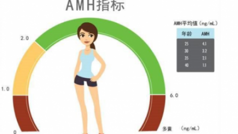 卵巢功能中的AMH，揭露生育的秘密