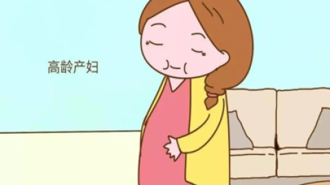 高龄女性备孕前该如何调理